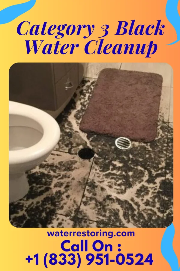 Category 3 Black Water Cleanup in South Boston, VA