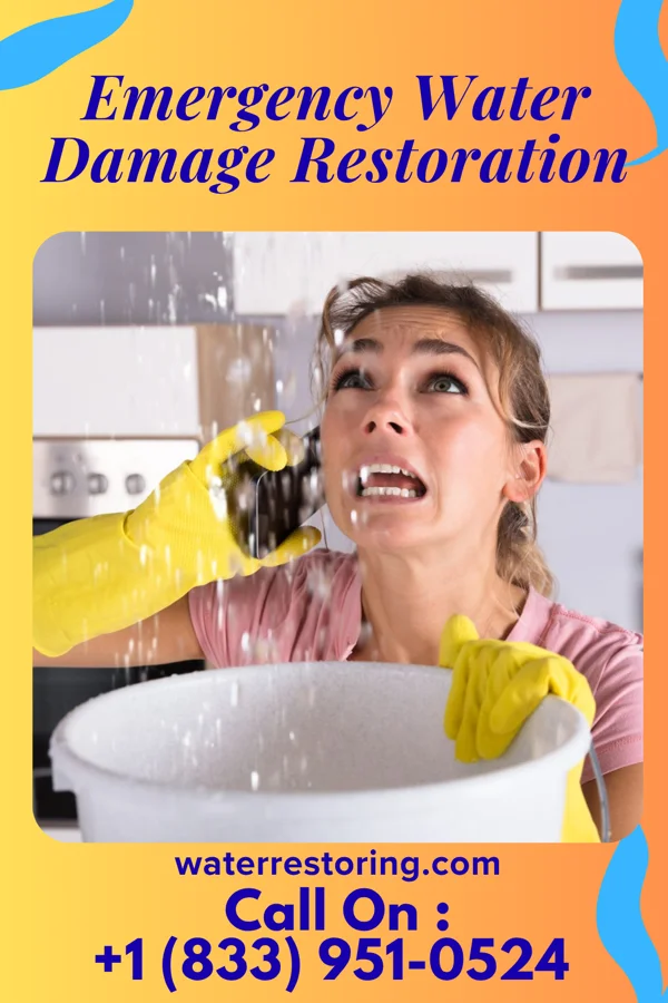 Emergency Water Damage Restoration in South Boston, VA