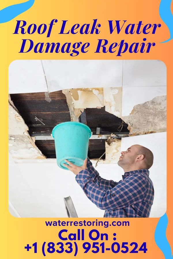 Roof Leak Water Damage Repair in South Boston, VA
