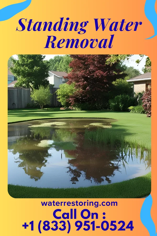Standing Water Removal in South Boston, VA